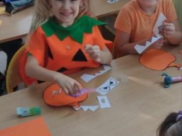 46569080610217798264166322183083592593336311n